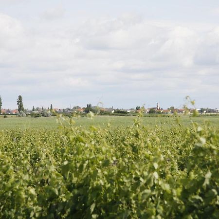 Pension & Weingut Storchenblick Illmitz Exterior photo